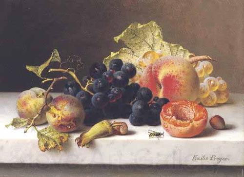 Johann Wilhelm Preyer Grapes peaches and plums on a marble ledge Spain oil painting art